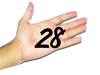 28.png