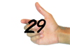 29.png