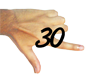 30.png