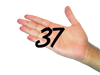 37.png