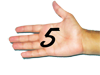 5.png